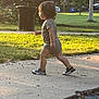 casual_clothing, child, concrete, curly_hair, daylight, grass, greenery, nature, outdoor, park, person, shadow, shorts, sidewalk, sneakers, sunlight, toddler, trash_can, trees, walking