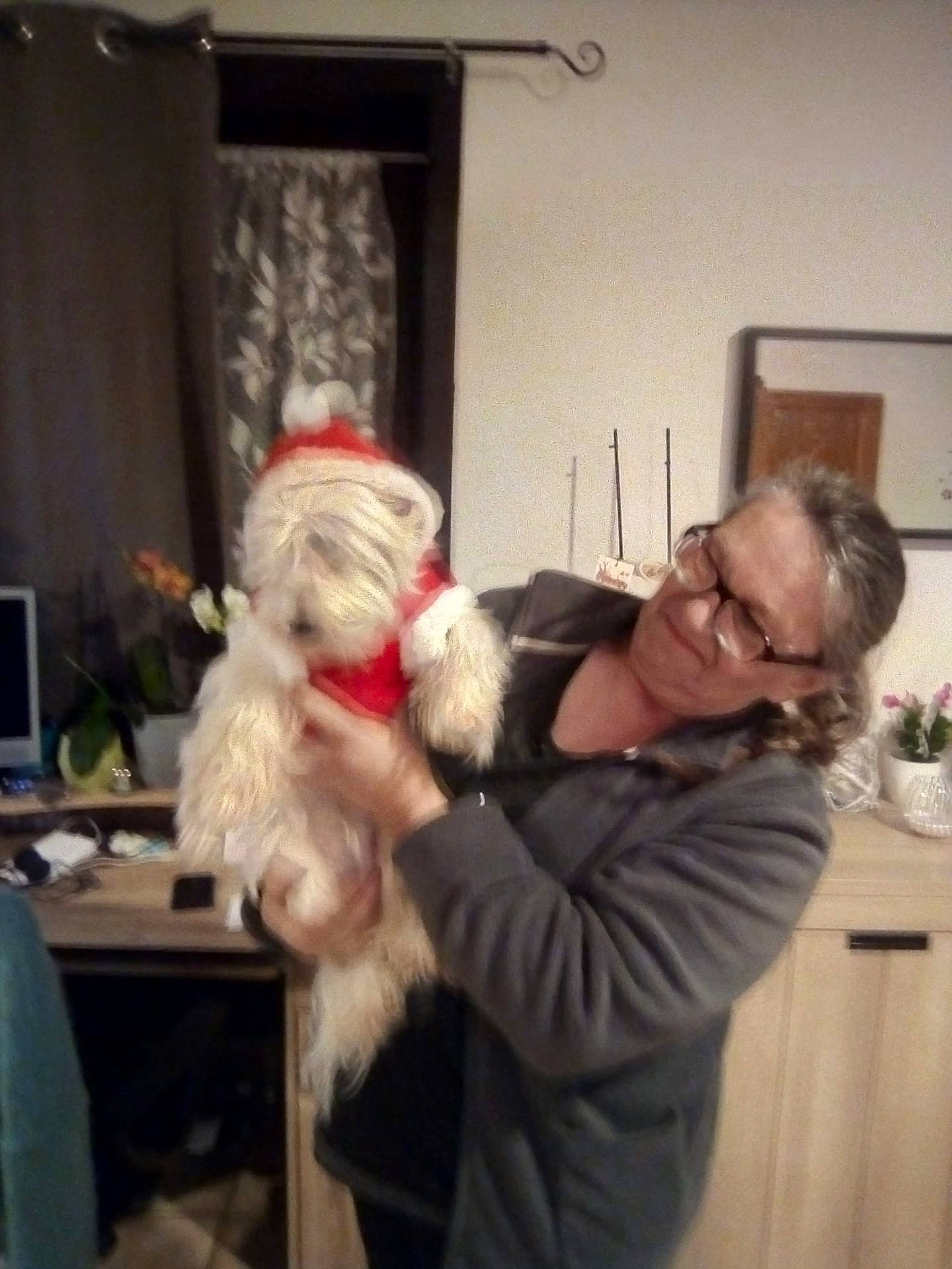 Princesse participe au concours pour gagner de l'argent avec cette photo : beard, companion_dog, computer_keyboard, computer_monitor, curtain, desk, event, facial_hair, fun, fur_clothing, hat, holiday, lap, peripheral, picture_frame, santa_claus, smile, stuffed_toy, table, toy