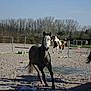 Ulster participe au concours pour gagner de l'argent avec cette photo :