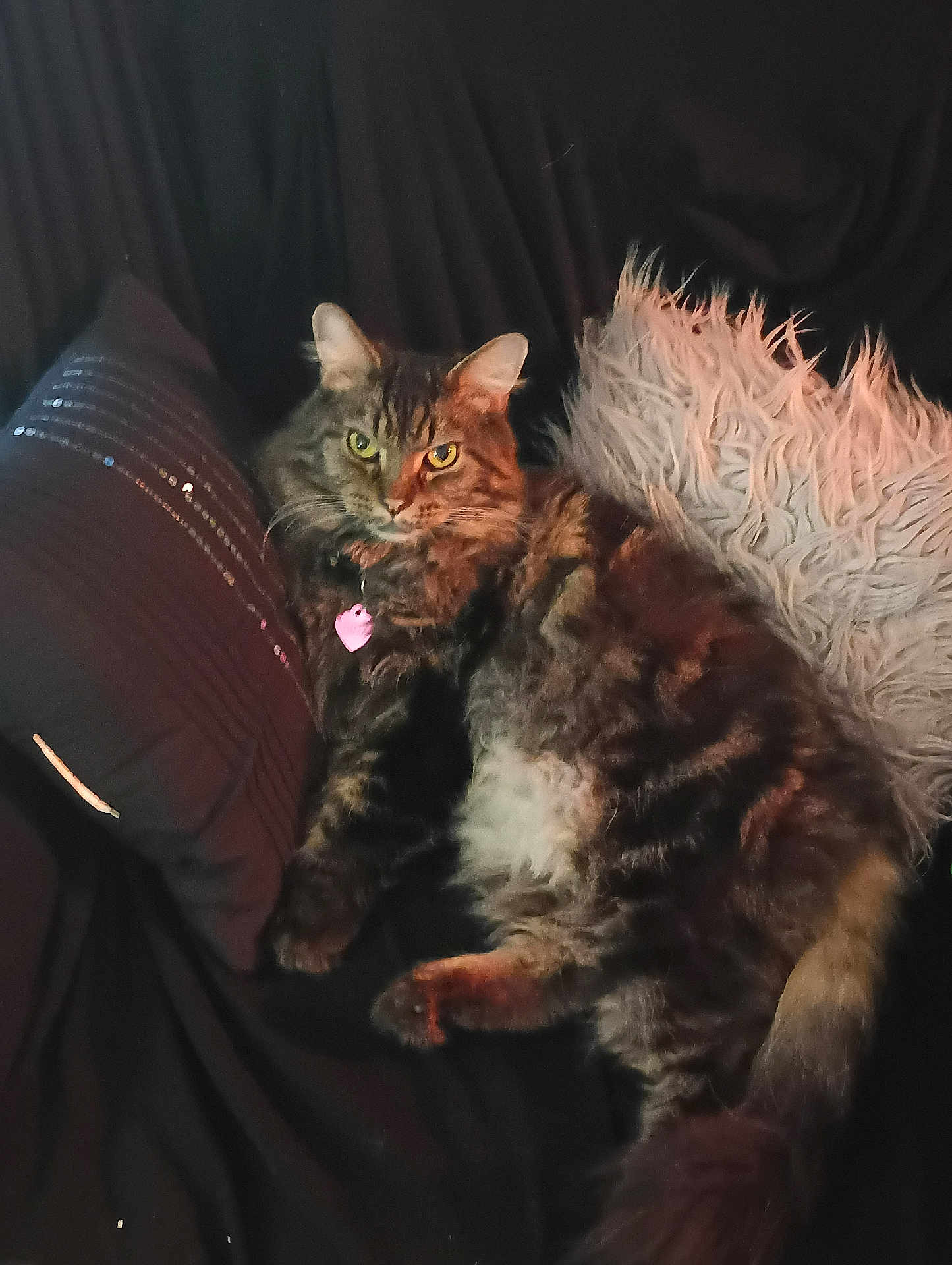 Binx