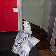 Nuage a rejoint le concours — aidez-le/la à gagner de superbes lots !