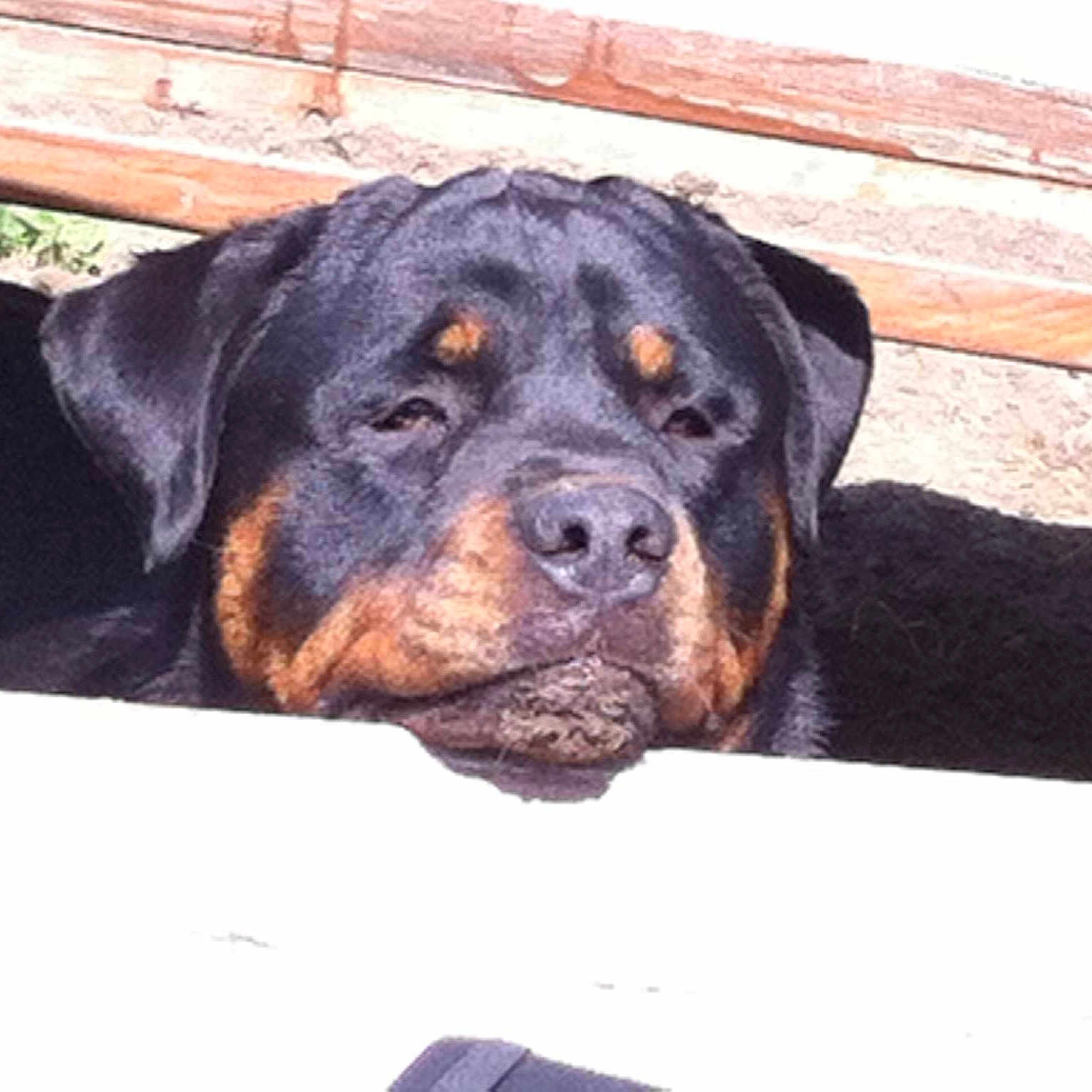 Braxton joined the competition — help win amazing prizes!