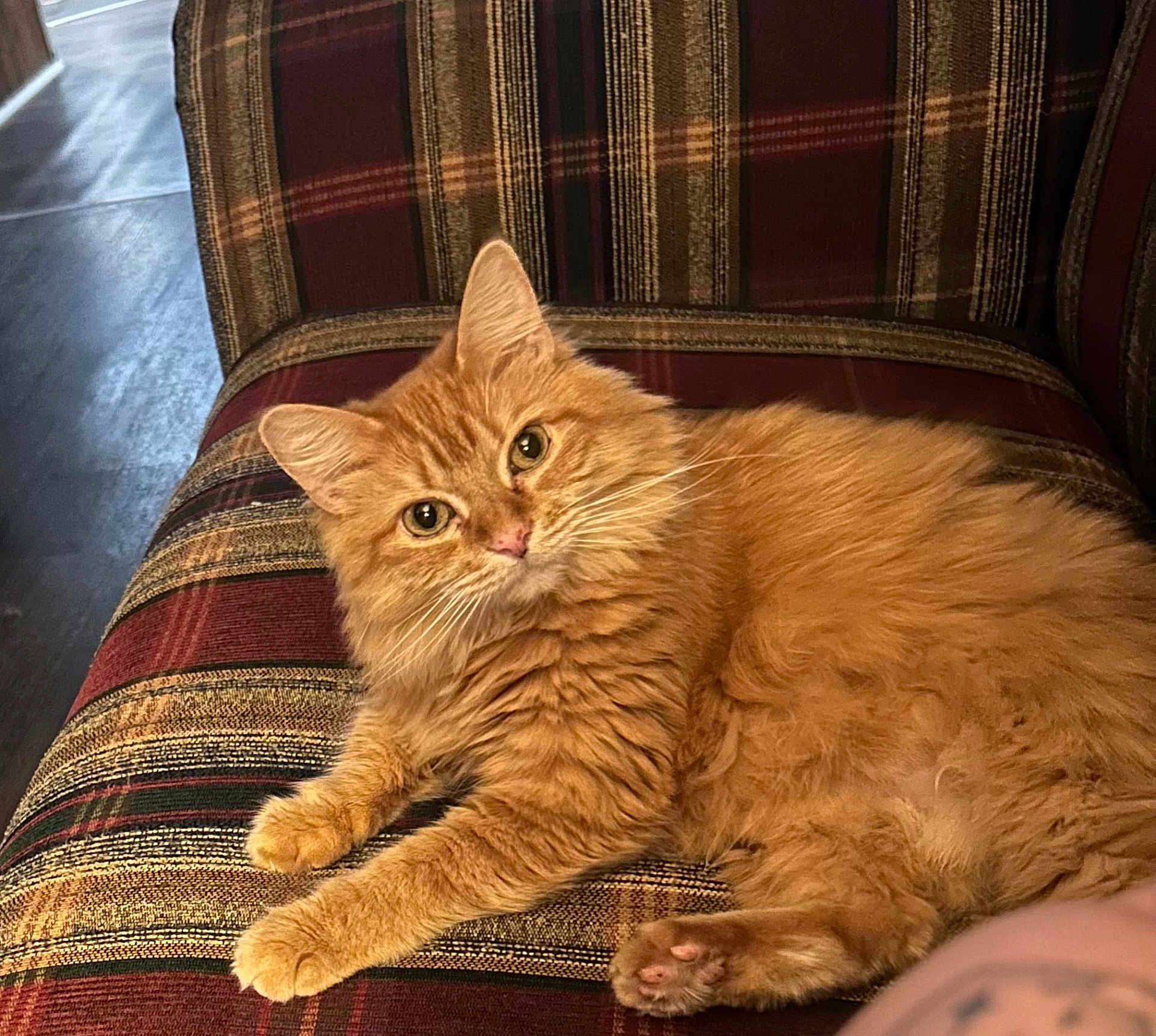 Peaches