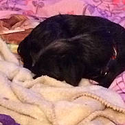 Jack is registered to the contest to win money with this photo: