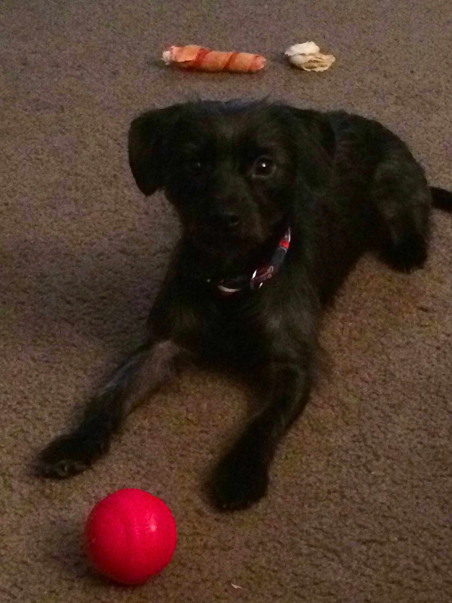 Jack