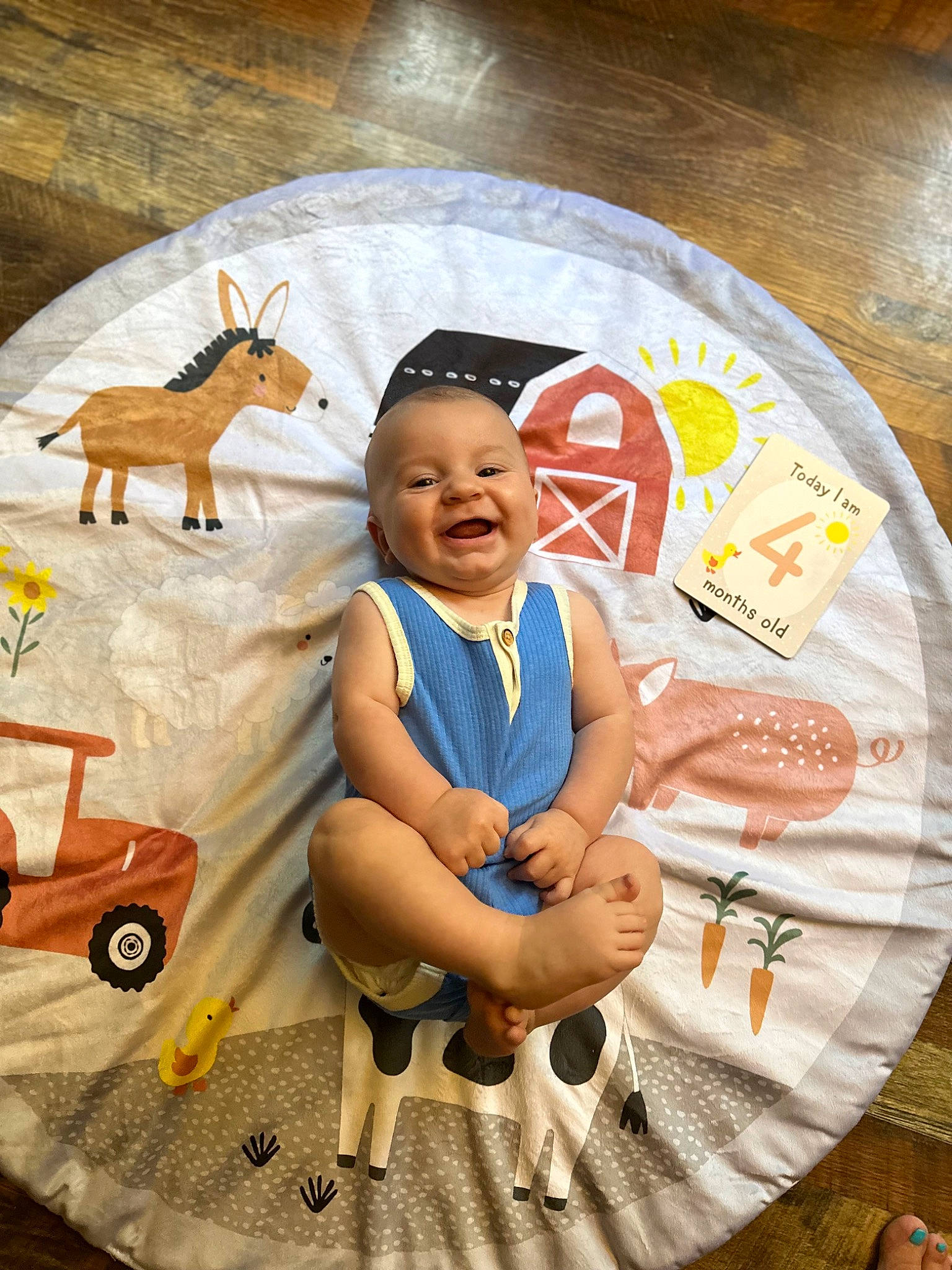 Dallas joined the competition — help win amazing prizes! art, baby, baby_toddler_clothing, chair, child, deer, fawn, flooring, fun, happy, joy, leisure, pattern, person, recreation, shorts, smile, textile, toddler, toy