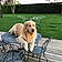 Rosco