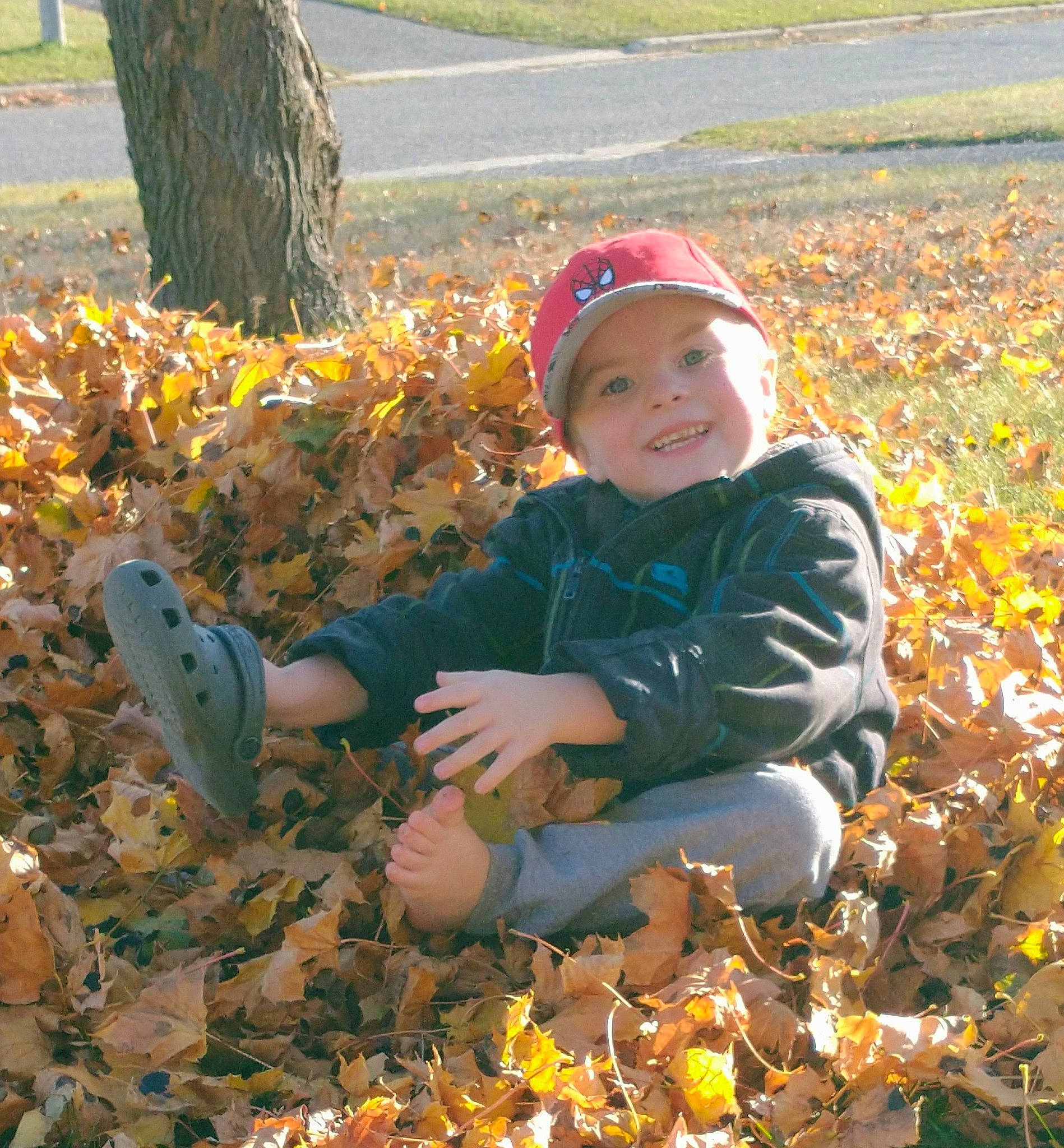 Grayson is registered to the contest to win money with this photo: autumn, baby_toddler_clothing, child, deciduous, face, fun, grass, happy, headwear, joy, leaf, people_in_nature, person, plant, pumpkin, sitting, smile, soil, toddler, tree