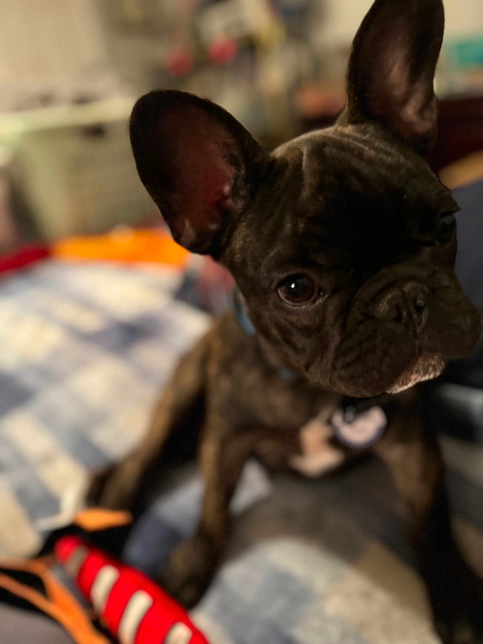 Tank