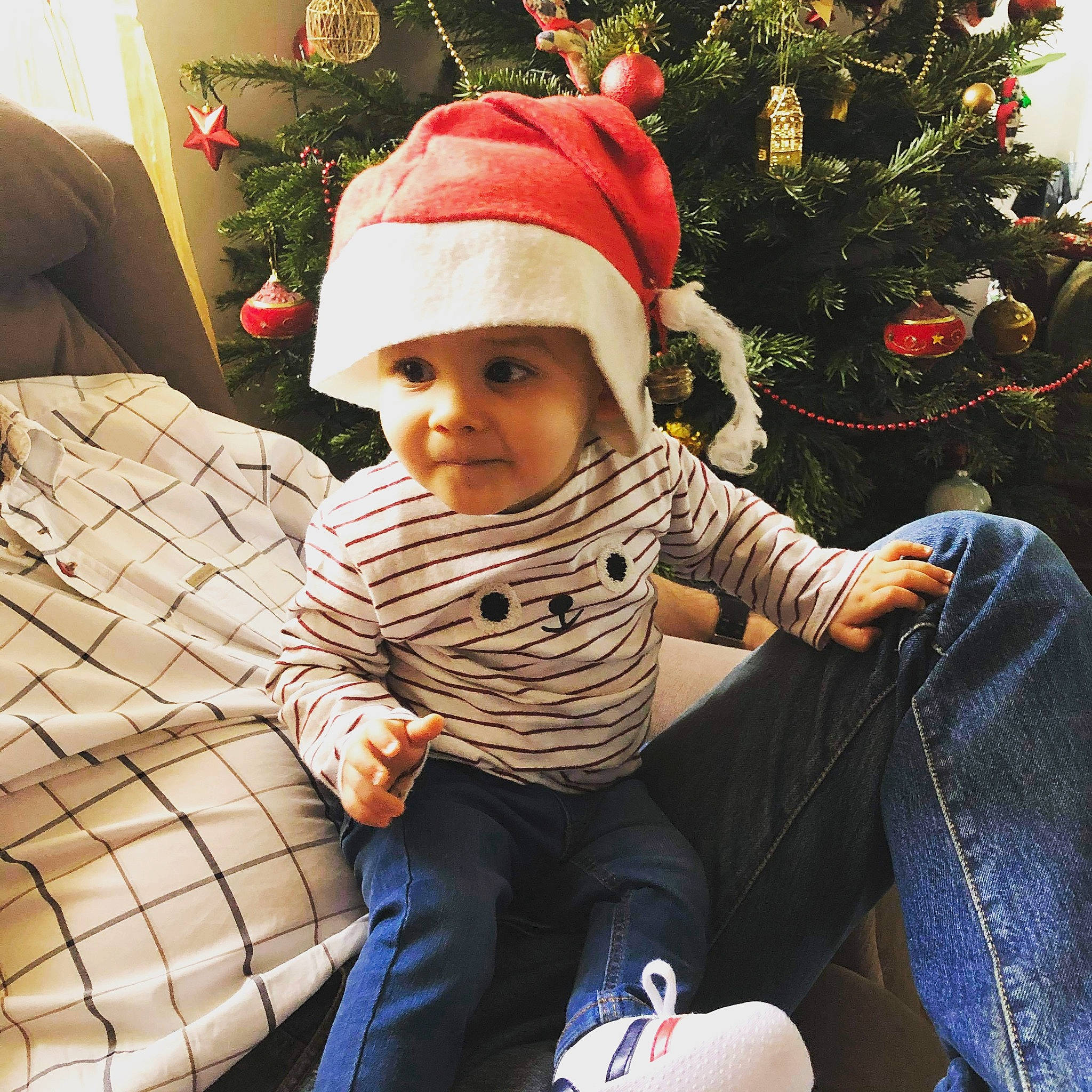 Leonardo a rejoint le concours — aidez-le/la à gagner de superbes lots ! christmas, christmas_decoration, christmas_eve, christmas_ornament, christmas_tree, comfort, event, happy, head, headwear, holiday, holiday_ornament, lap, light, pattern, person, plaid, sleeve, tartan, toddler