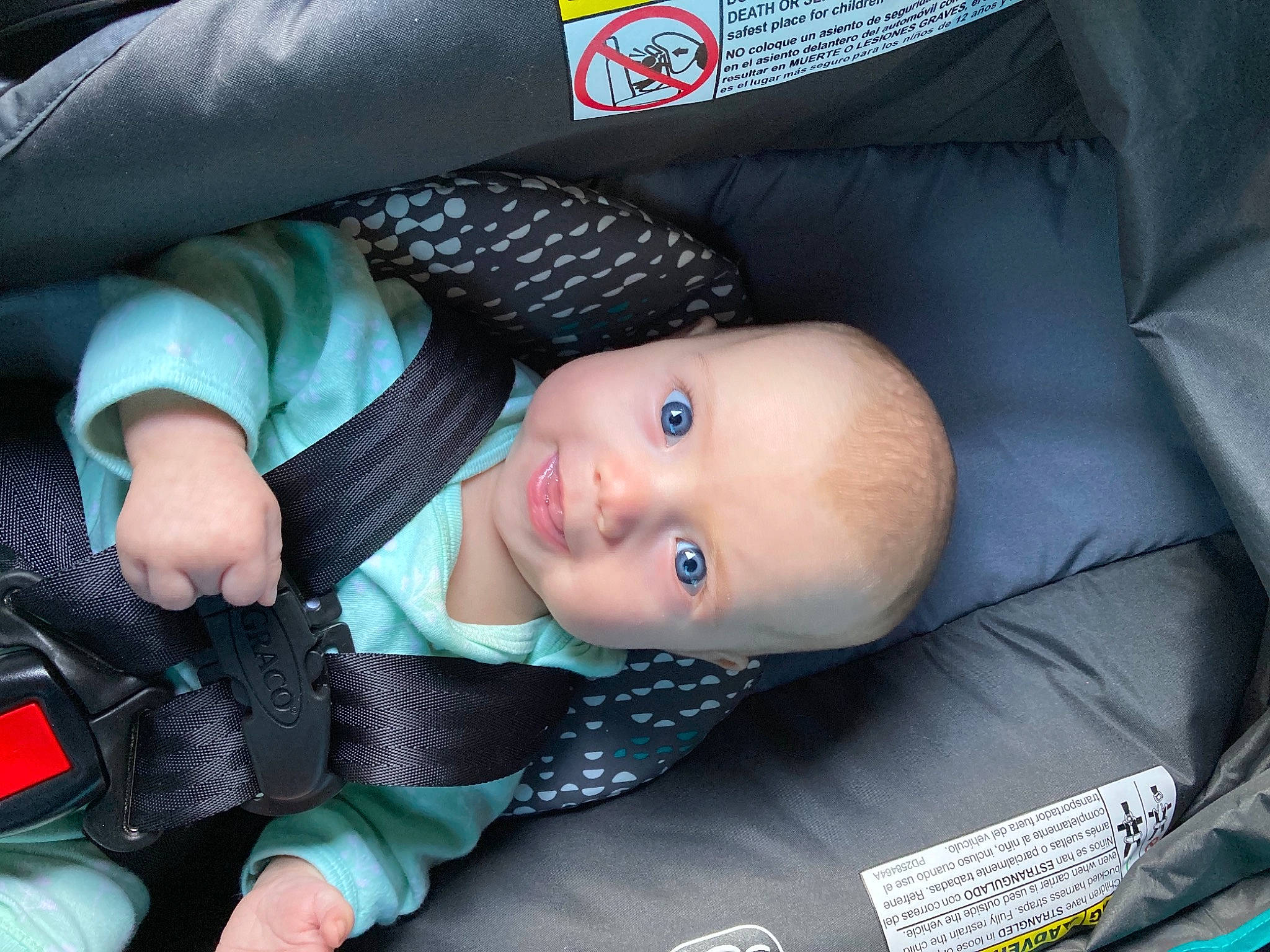 Alyza joined the competition — help win amazing prizes! baby, baby_carriage, baby_products, baby_safety, baby_toddler_clothing, car_seat, child, comfort, electric_blue, eye, finger, head, person, sitting, skin, smile, toddler, tree