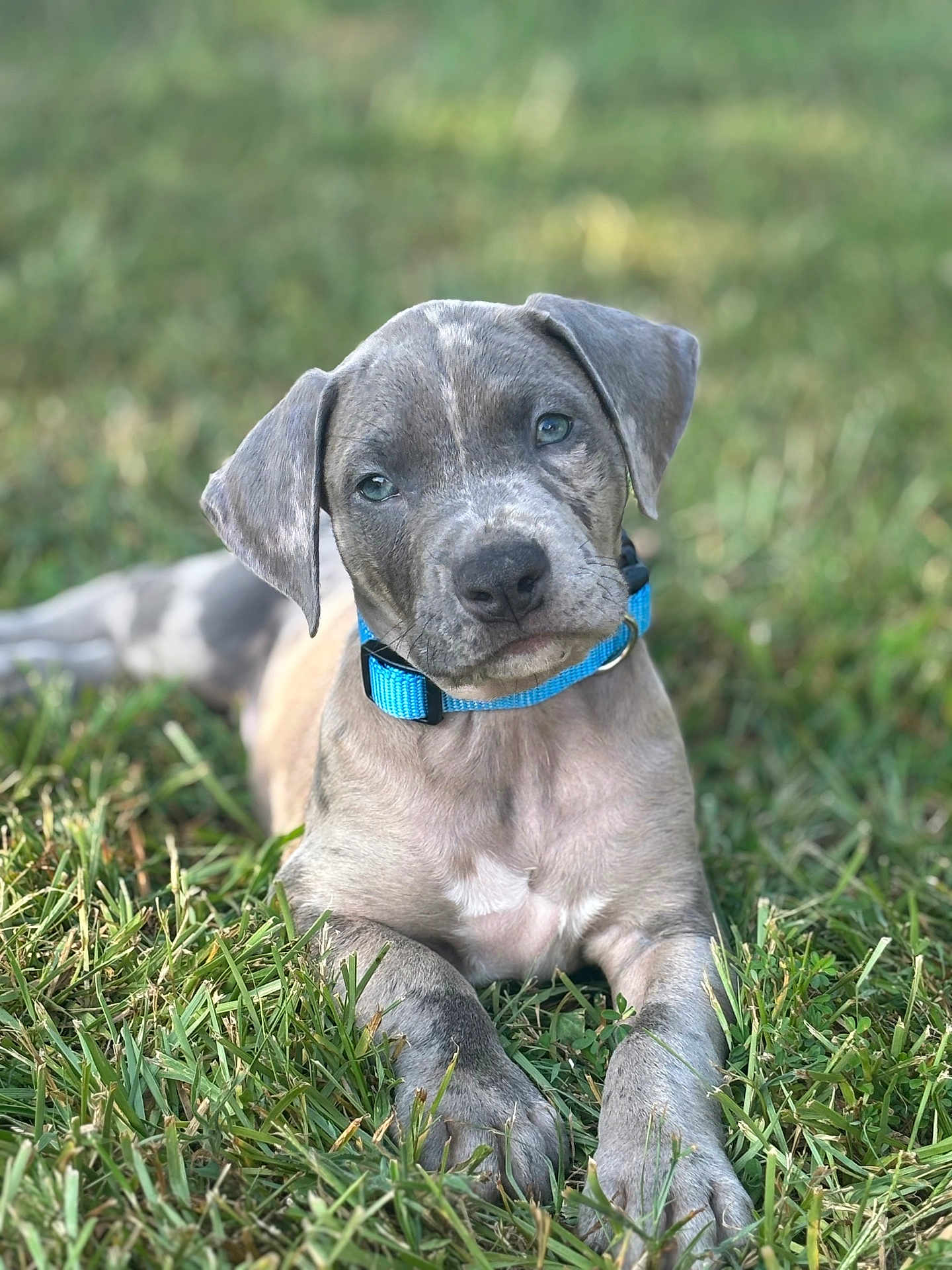 Ronan