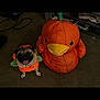 dog, pug, costume, pumpkin, plush, toy, orange, carpet, indoor, pet, cute, animal, smiling, face, tongue_out, floor, green, leaf, decor, funny
