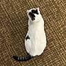Chase joined the competition — help win amazing prizes! cat, animal, pet, white_cat, black_patches, fur, tail, carpet, brown_carpet, texture, indoor, resting, domestic_cat, mammal, whiskers, quiet, top_view, feline, cute, relaxed