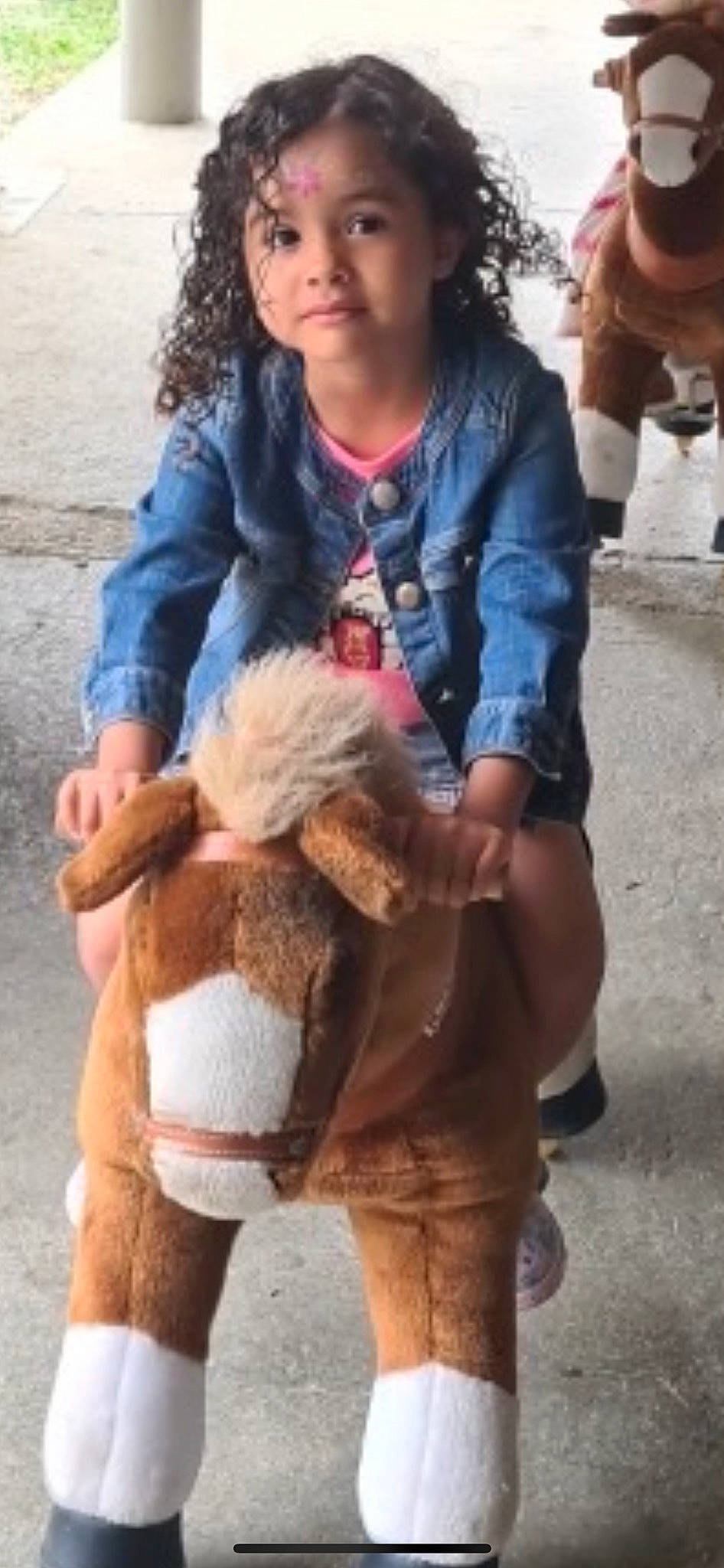 Selssabile a rejoint le concours — aidez-le/la à gagner de superbes lots ! companion_dog, denim, fashion_accessory, fawn, fun, fur, fur_clothing, gesture, human, human_leg, knee, livestock, pattern, people, person, photograph, sitting, snapshot, thigh, toy