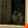 cat, window, night, dark, blurred, indoor, orange, pattern, reflection, glass, furniture, shadow, animal, pet, curtain, doorframe, decor, still_life, home, mystery