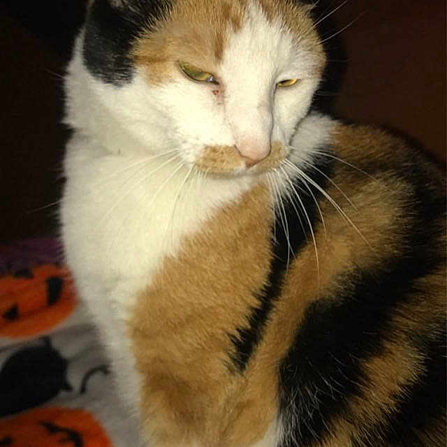 Max
