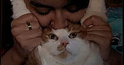 Oliver is registered to the contest to win money with this photo: affection, animal, cat, close_up, cute, dark_background, face, feline, hands, heart_icon, holding, human, indoor, love, orange_and_white_cat, paw, person, pet, portrait, whiskers
