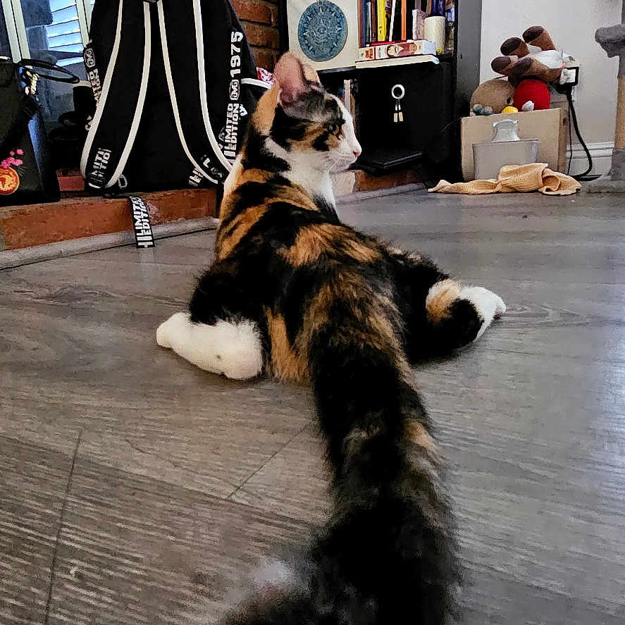Luna