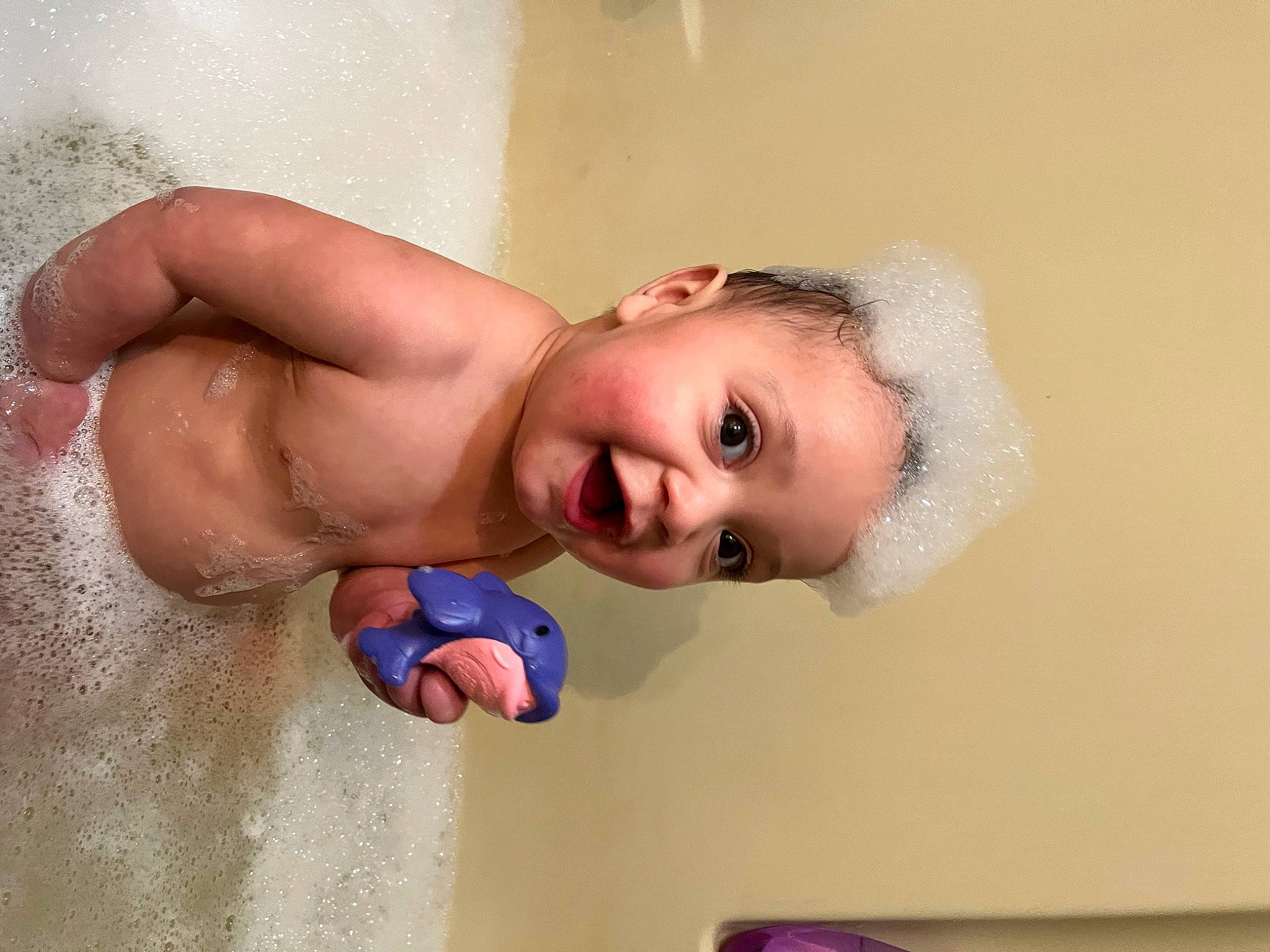Bentley joined the competition — help win amazing prizes! arm, bathing, bathtub, chest, ear, eyebrow, eyelash, finger, happy, headgear, human_body, jaw, joint, lip, mouth, neck, nose, person, plumbing_fixture, skin