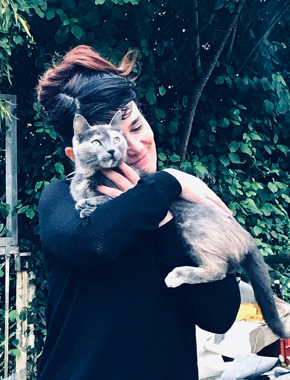 Chewie participe au concours pour gagner de l'argent avec cette photo : canidae, carnivore, companion_dog, cool, czechoslovakian_wolfdog, dog, dog_breed, fashion, forest, fur, miniature_schnauzer, non_sporting_group, standard_schnauzer, tree, wolf, wolfdog