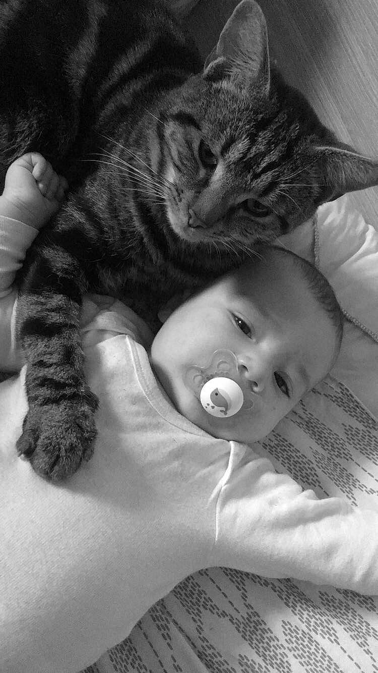 Liam a rejoint le concours — aidez-le/la à gagner de superbes lots ! baby, black_and_white, carnivore, cat, cheek, child, comfort, ear, eye, gesture, grey, iris, mammal, mouth, nose, organ, person, skin, style, toddler