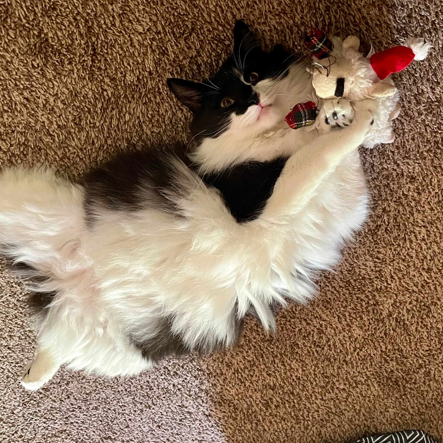 Tango