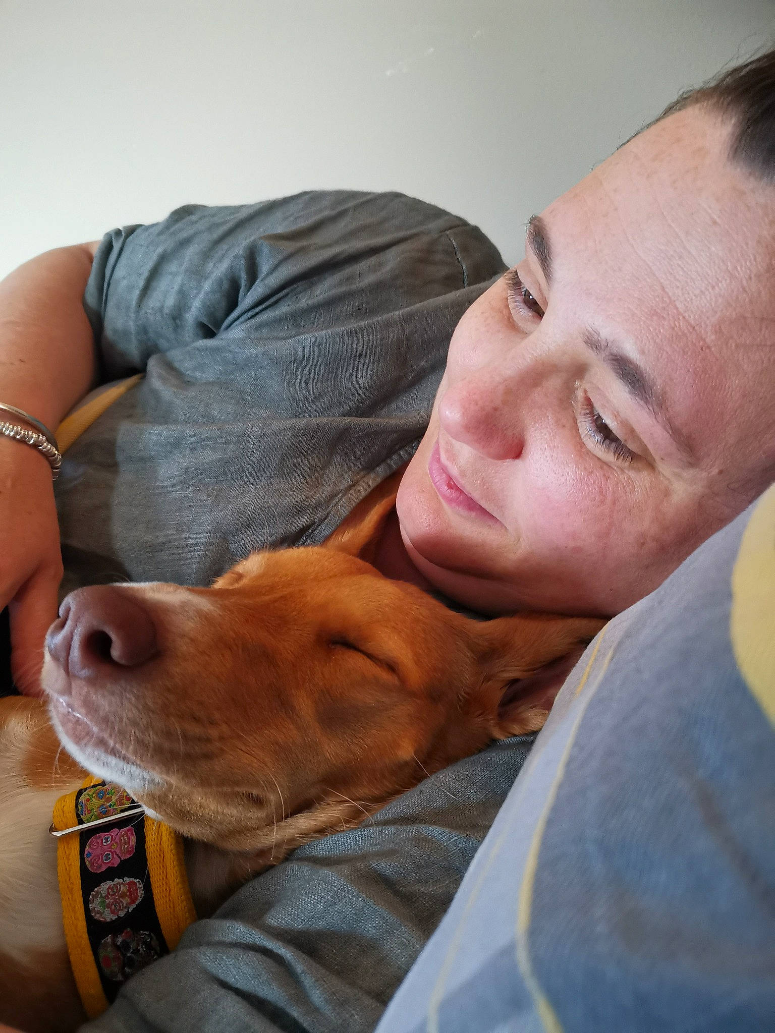 Lara-beau is registered to the contest to win money with this photo: abdomen, arm, carnivore, comfort, companion_dog, dog, dog_breed, ear, elbow, fawn, happy, human_leg, lap, mouth, nose, skin, snout, trunk, vertebrate, whiskers