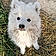 Achille