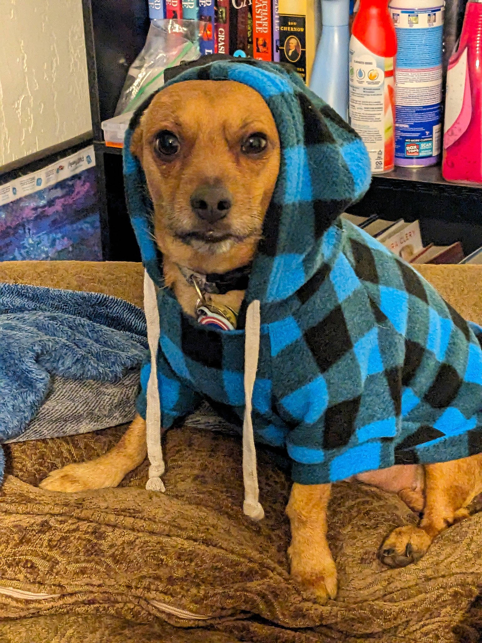 Buddy Mcfarland-estepp