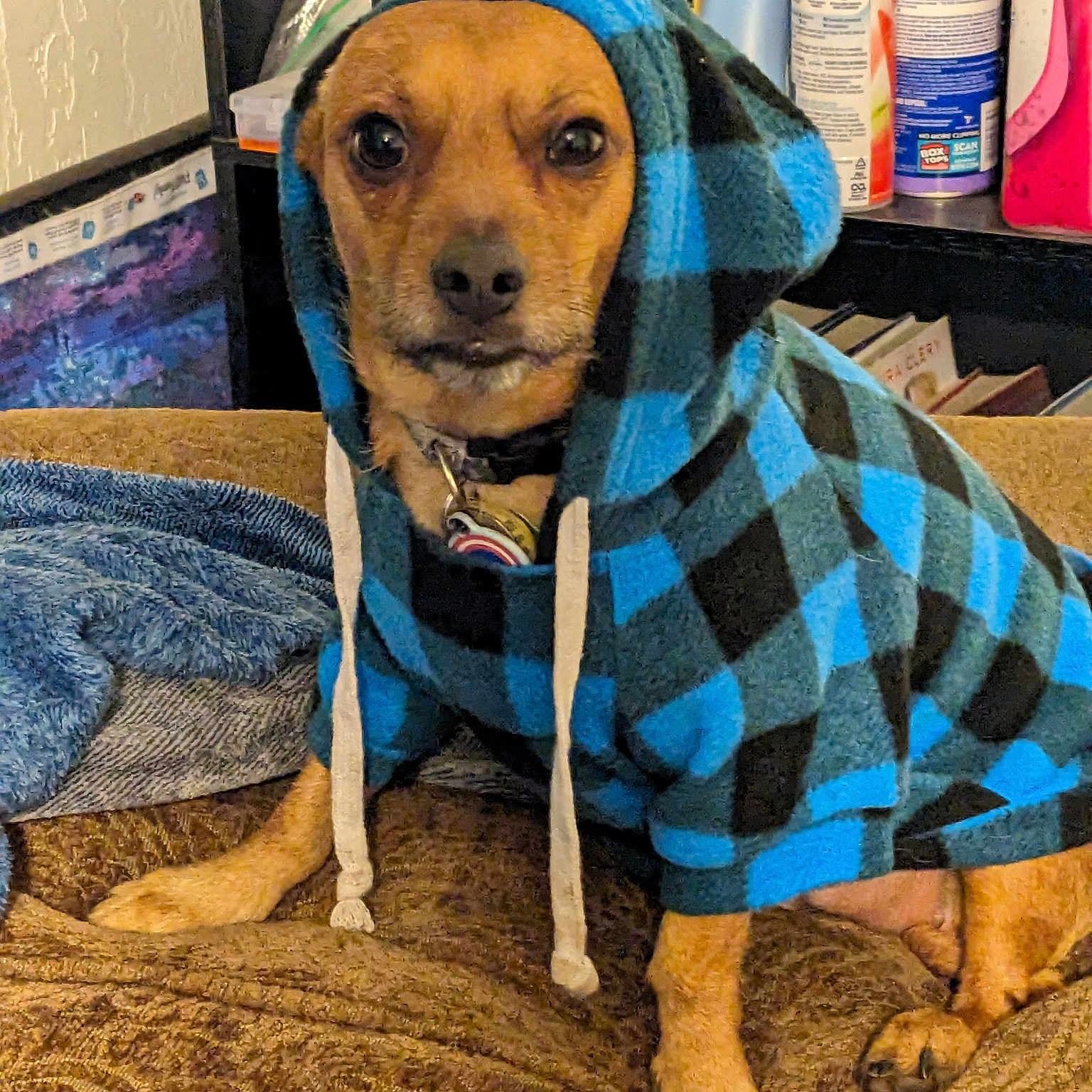 Buddy Mcfarland-estepp