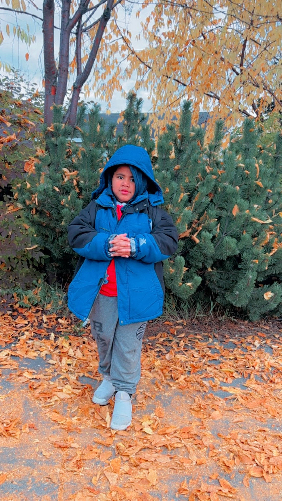 Terrance joined the competition — help win amazing prizes! branch, child, deciduous, electric_blue, forest, grass, happy, headwear, leaf, leisure, morning, natural_landscape, outerwear, people_in_nature, person, plant, toddler, tree, twig, winter
