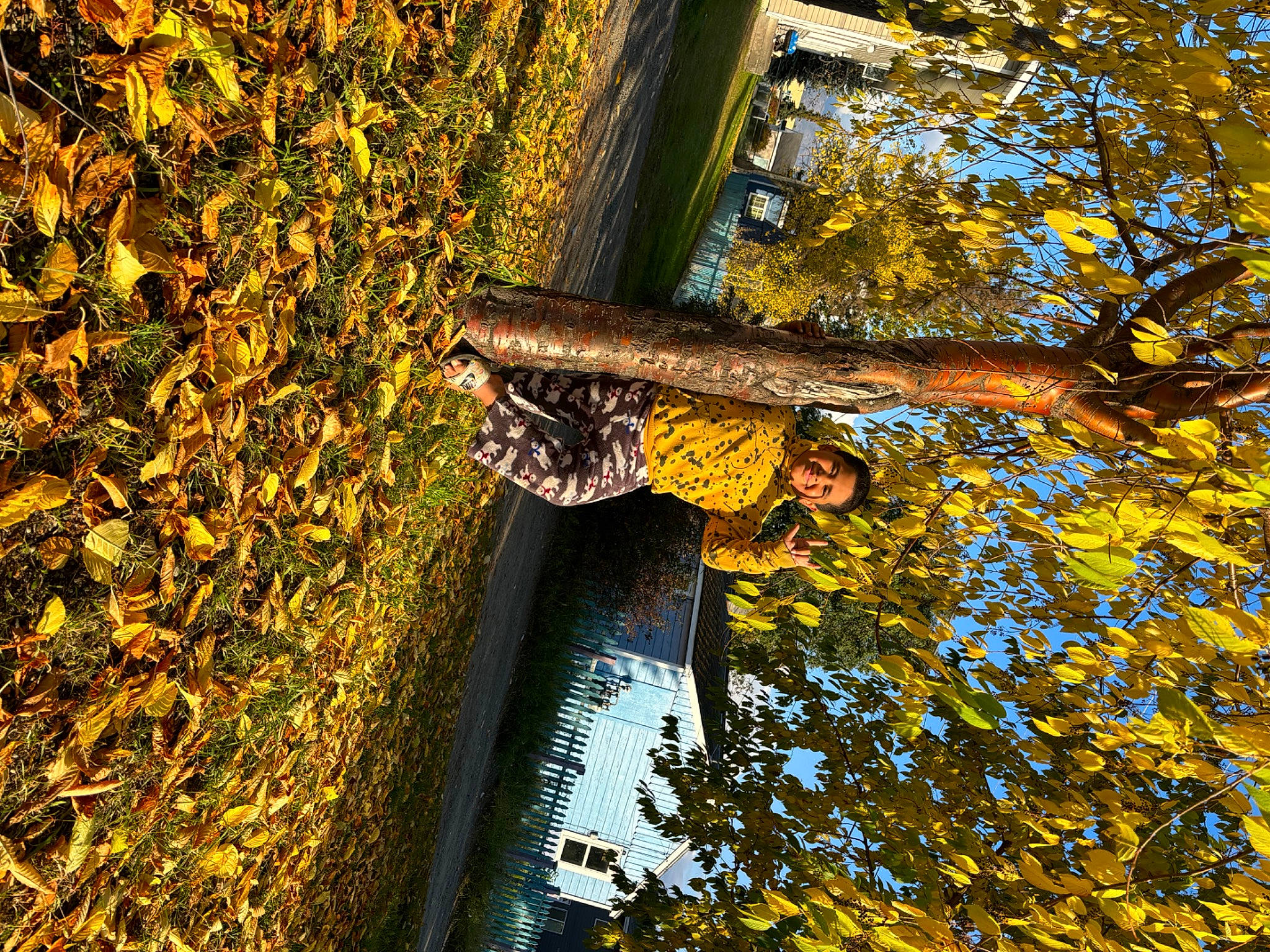 Terrance joined the competition — help win amazing prizes! autumn, botany, branch, cross, deciduous, forest, joy, metal, people_in_nature, person, plant, shade, shadow, symmetry, temperate_broadleaf_and_mixed_forest, tints_and_shades, tree, trunk, twig, water