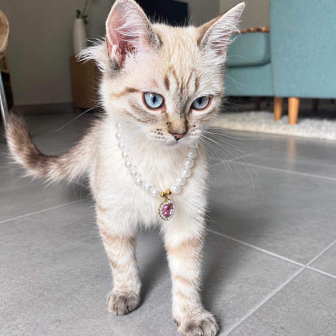 Freya