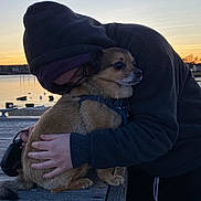 Dusty is registered to the contest to win money with this photo: dog, person, hoodie, hug, sunset, water, dock, wooden_plank, leash, harness, hand, face, pet, owner, affection, small_dog, dusk, sky, waterfront, outdoor