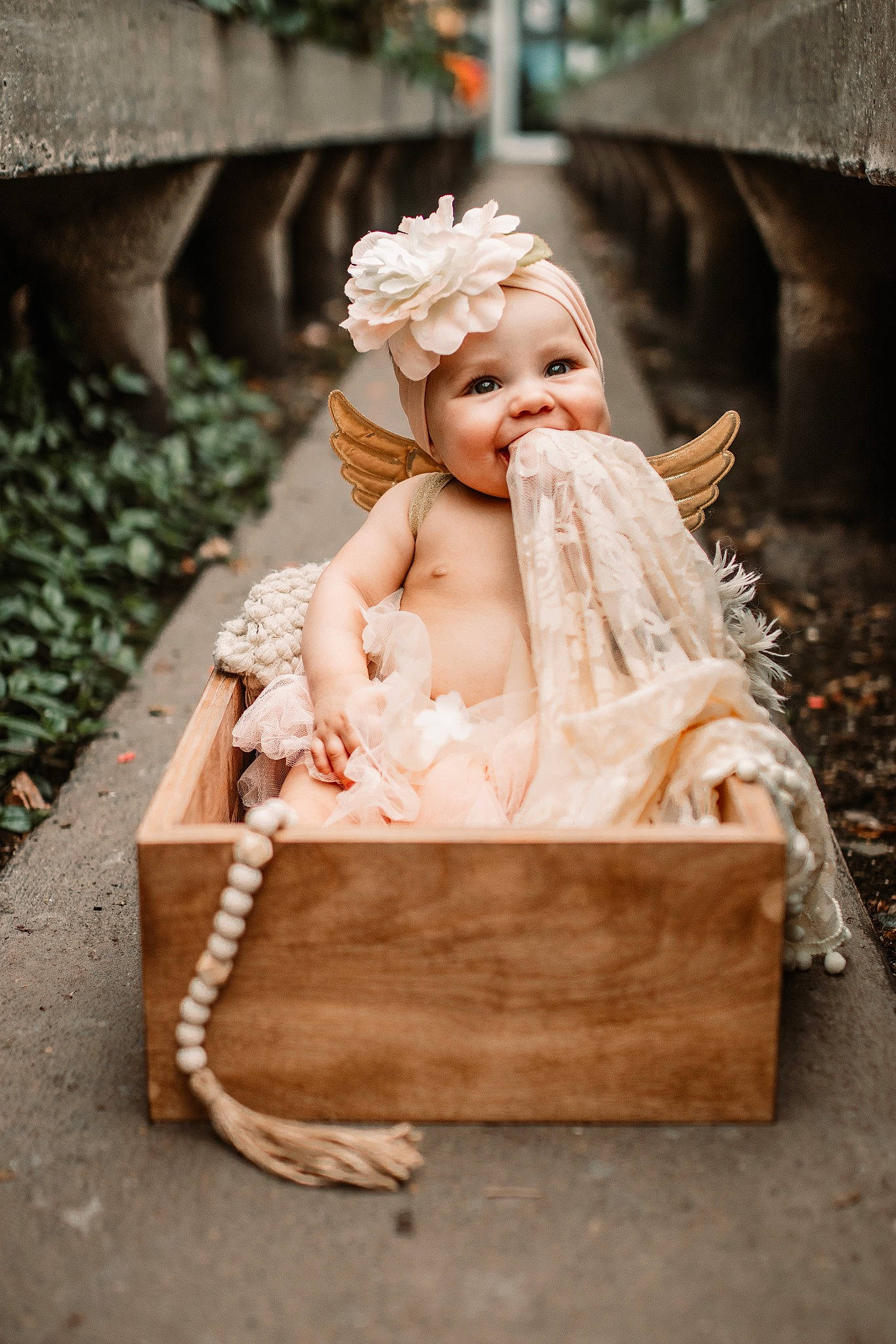 Genesis joined the competition — help win amazing prizes! baby, baby_products, chair, dress, fashion_accessory, flash_photography, grass, hair_accessory, happy, head, headpiece, headwear, jewellery, leisure, peach, person, plant, sitting, smile, toddler
