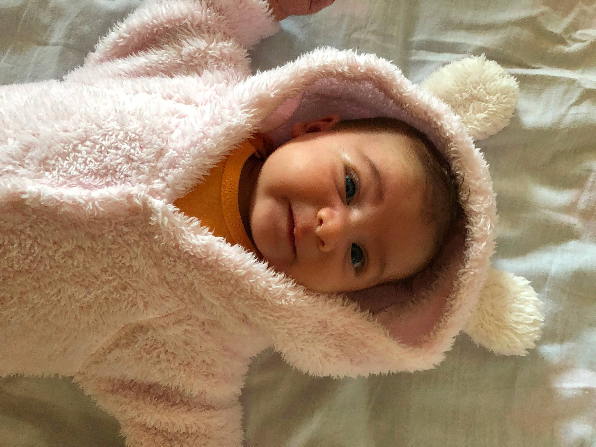 Kelly participe au concours pour gagner de l'argent avec cette photo : baby, cheek, child, ear, eye, fur, fur_clothing, head, person, skin, wool