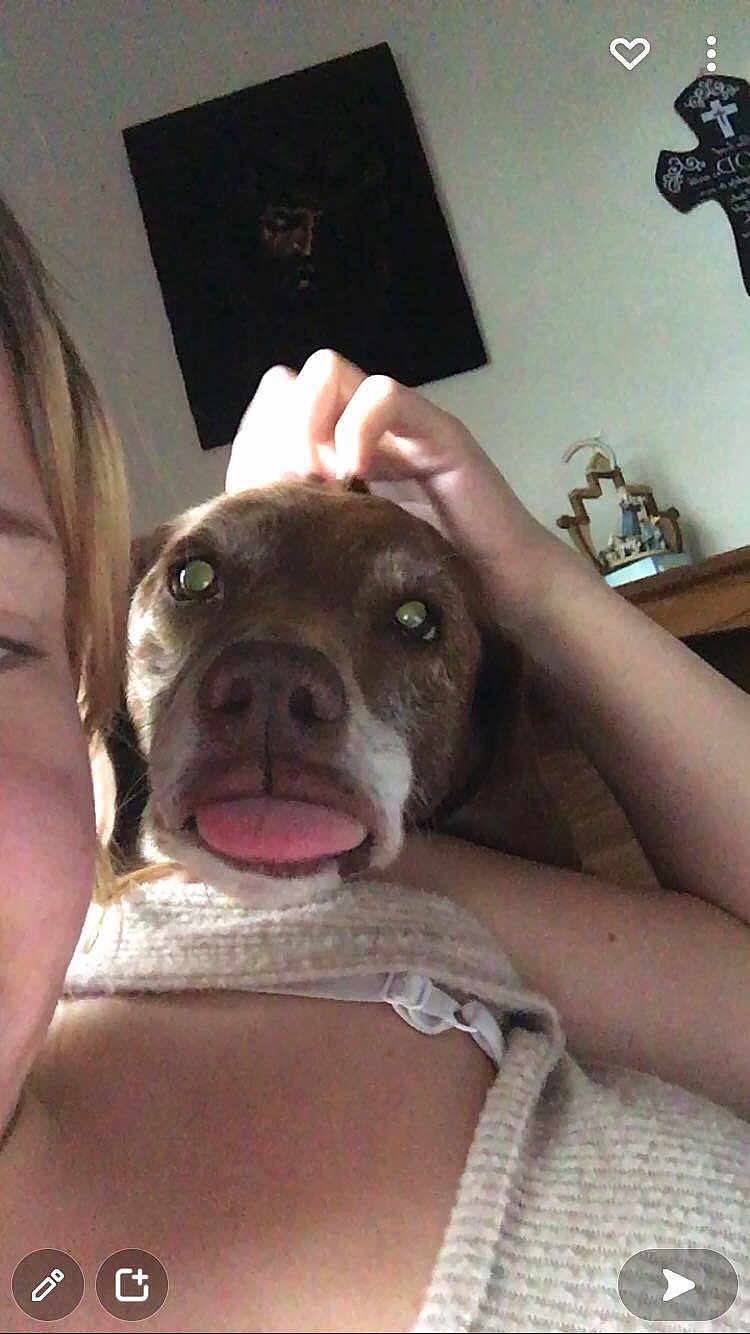 Tiffany is registered to the contest to win money with this photo: dog, person, face, tongue, selfie, close_up, indoor, hand, shoulder, wall_art, cross, brown_dog, pet, animal, playful, portrait, furniture, skin, clothing, home