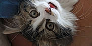 Haze participe au concours pour gagner de l'argent avec cette photo :