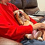 blanket, casual, comfort, couch, cute, dog, hand, home, indoor, leather, paw, person, pet, puppy, red_sweater, relaxing, remote_control, resting, small_dog, striped