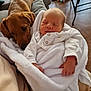 Snow participe au concours pour gagner de l'argent avec cette photo : baby, newborn, dog, brown_dog, blanket, white_blanket, sleeping_baby, indoor, couch, furniture, floor, wooden_floor, relaxation, comfort, home, rest, pet, companion, cozy, peaceful