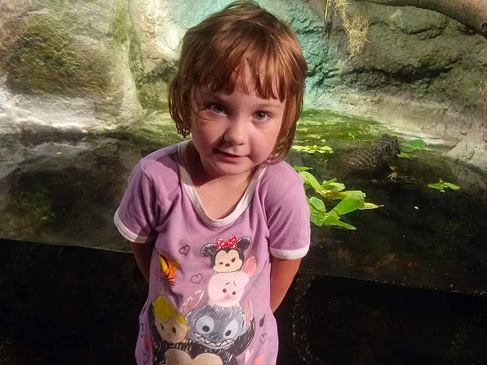 Aylynn is registered to the contest to win money with this photo: adaptation, child, fun, happy, person, photography, smile, t_shirt, toddler, tree, vacation