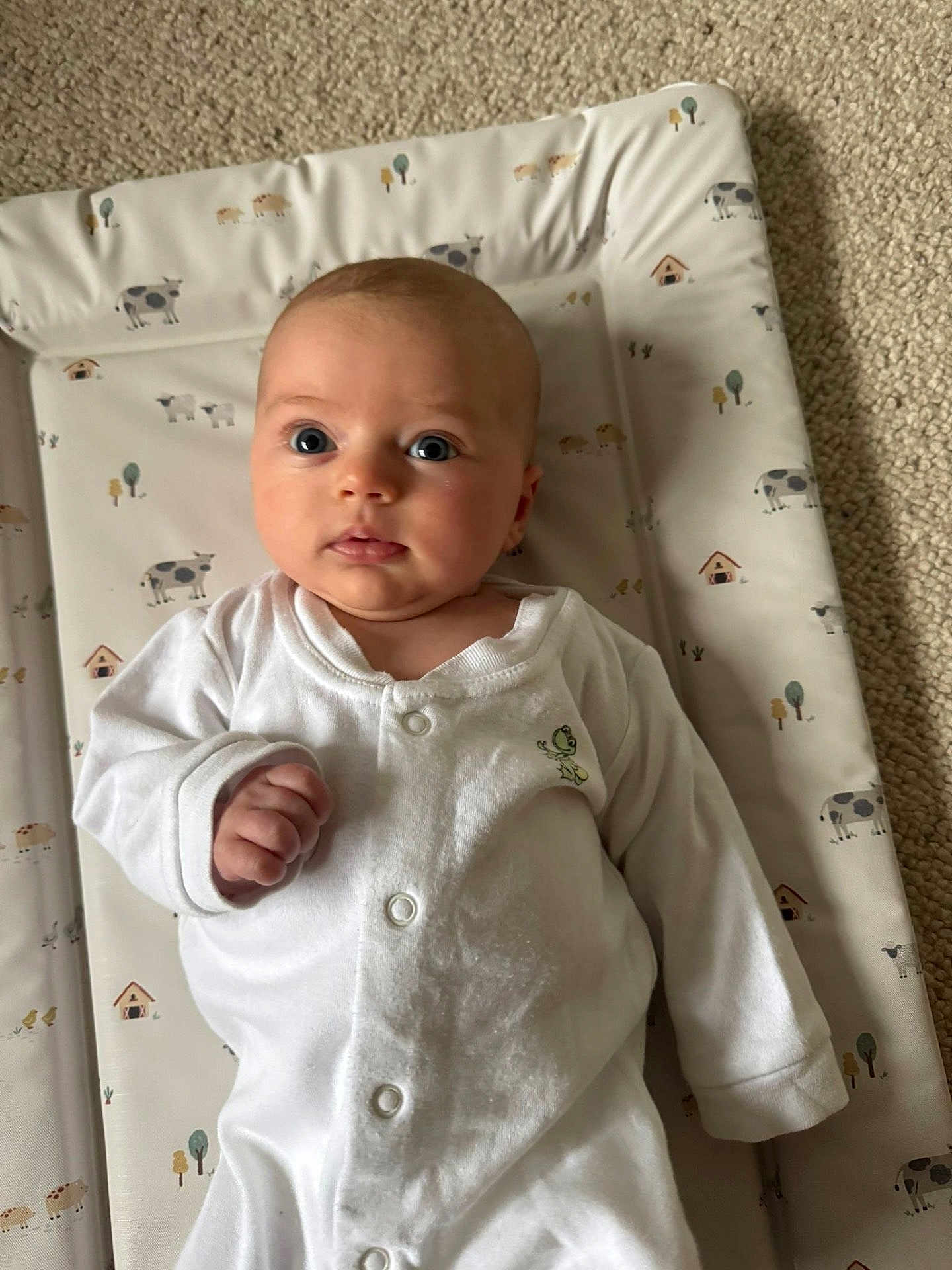 Evelyn joined the competition — help win amazing prizes! baby, infant, onesie, white_clothing, face, blue_eyes, hand, cushioned_pad, animal_print, cow_pattern, tree_pattern, carpet, indoor, child, cute, portrait, newborn, lying_down, curious, soft_lighting