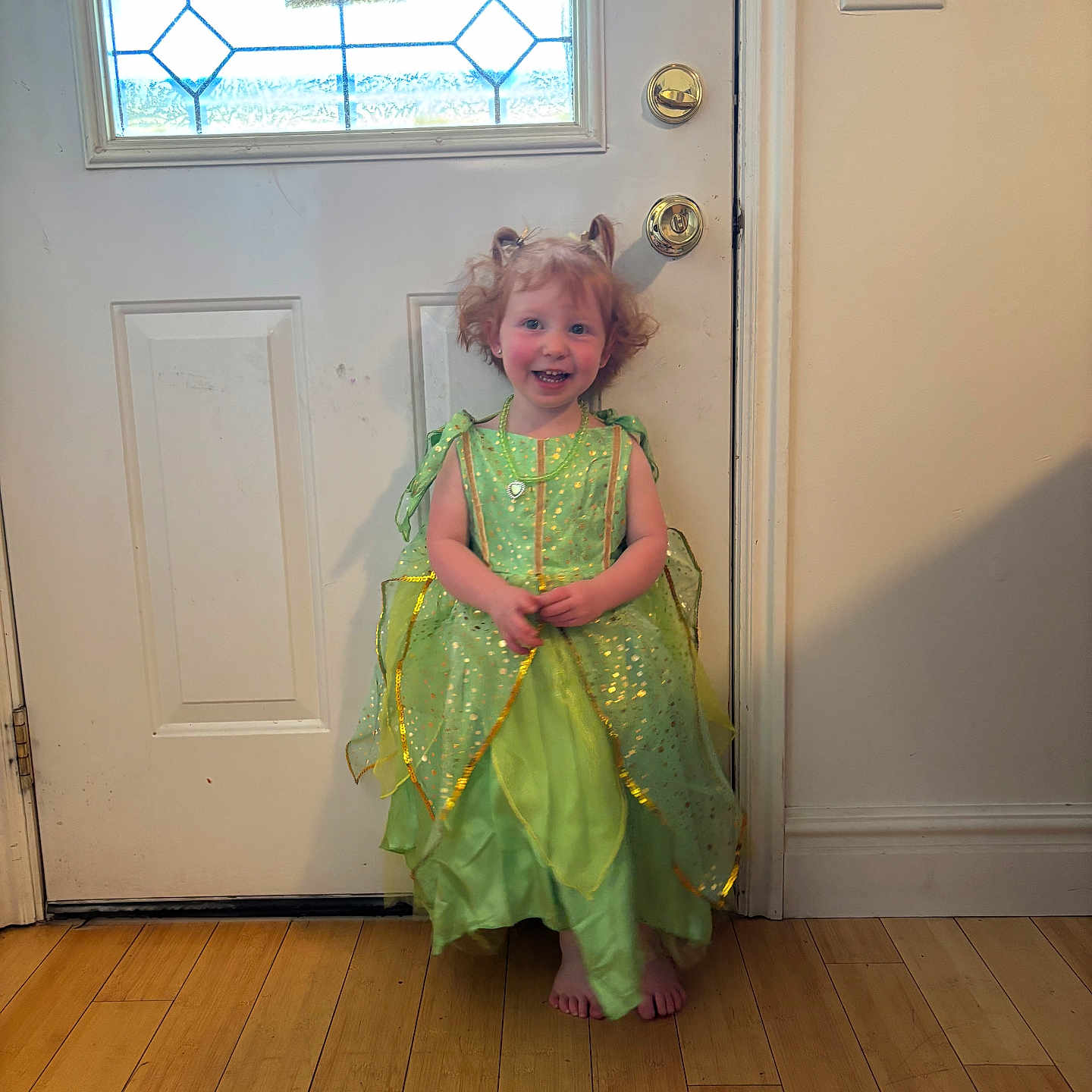 Benelli is registered to the contest to win money with this photo: barefoot, child, costume, curly_hair, door, dress, fairy, flooring, girl, green, happy, home, indoor, light_switch, necklace, pigtails, portrait, smile, toddler, wooden_floor
