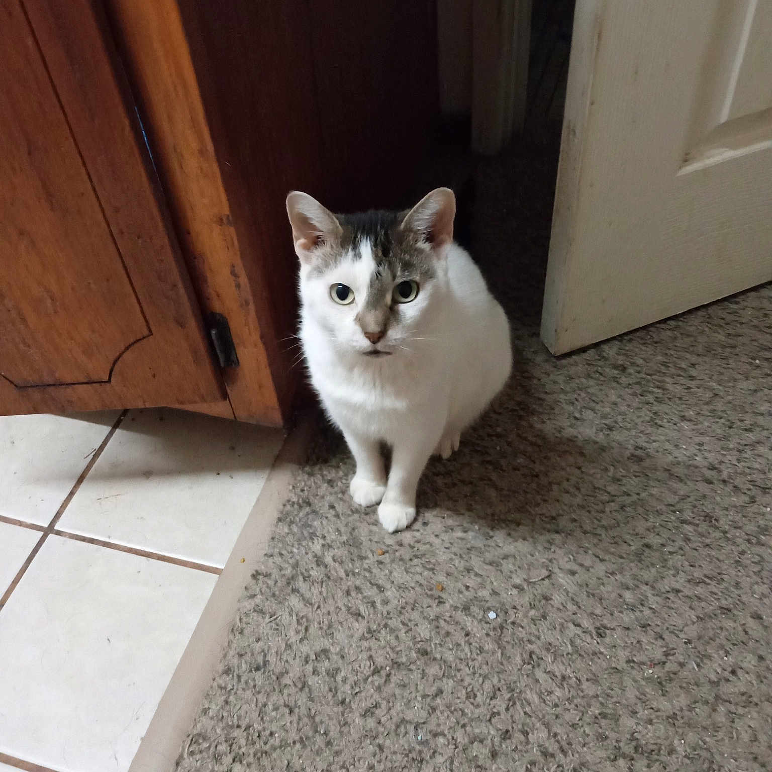 Sanford
