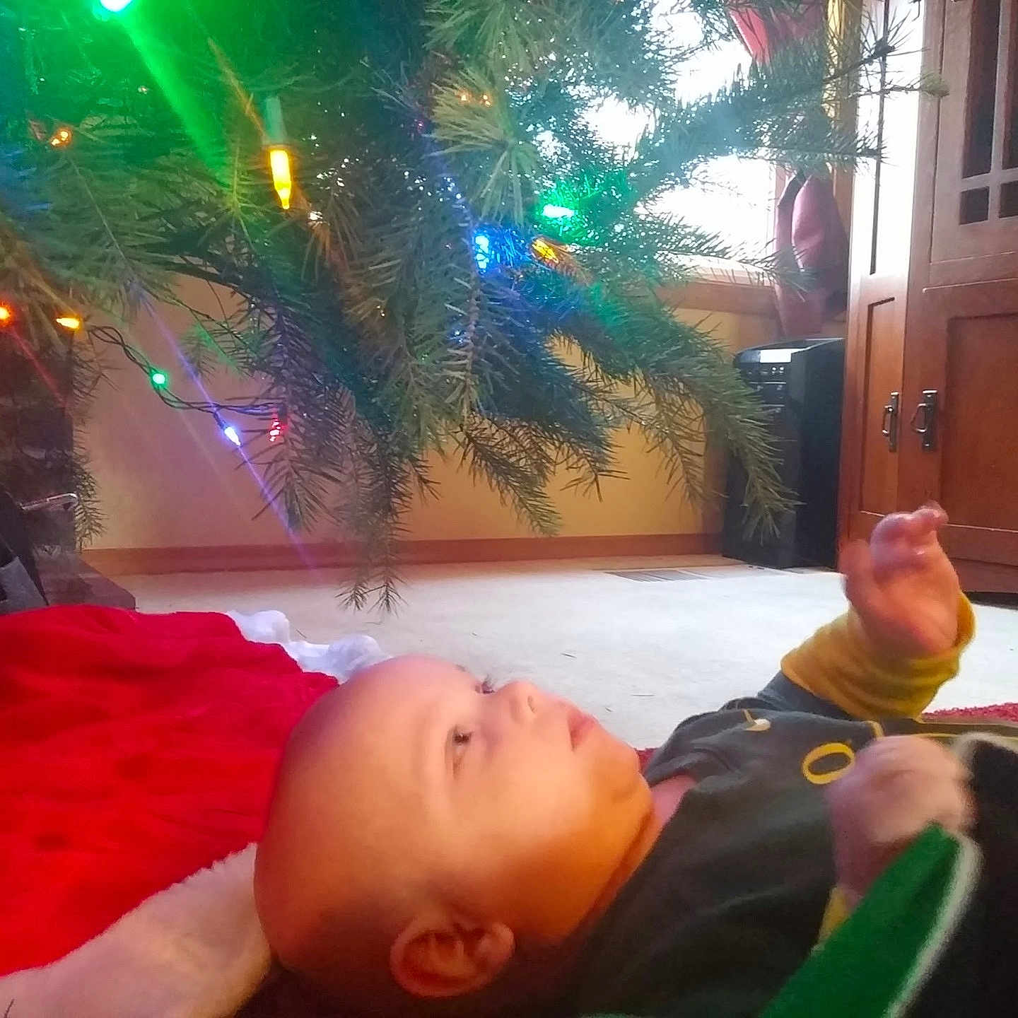 Axton is registered to the contest to win money with this photo: fun, leisure, play, space, vertebrate, world