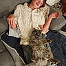 cat, person, long_hair, fluffy, pet, sleeping, lounging, couch, sofa, blanket, cushion, indoor, home, relaxed, portrait, sitting, casual_clothing, gray_cat, wood_floor, cozy