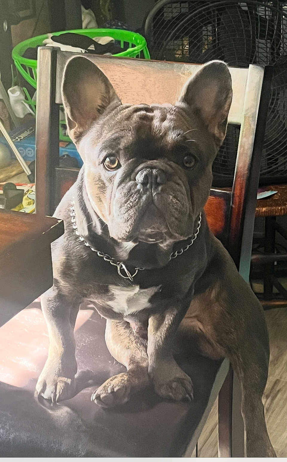 Rambo