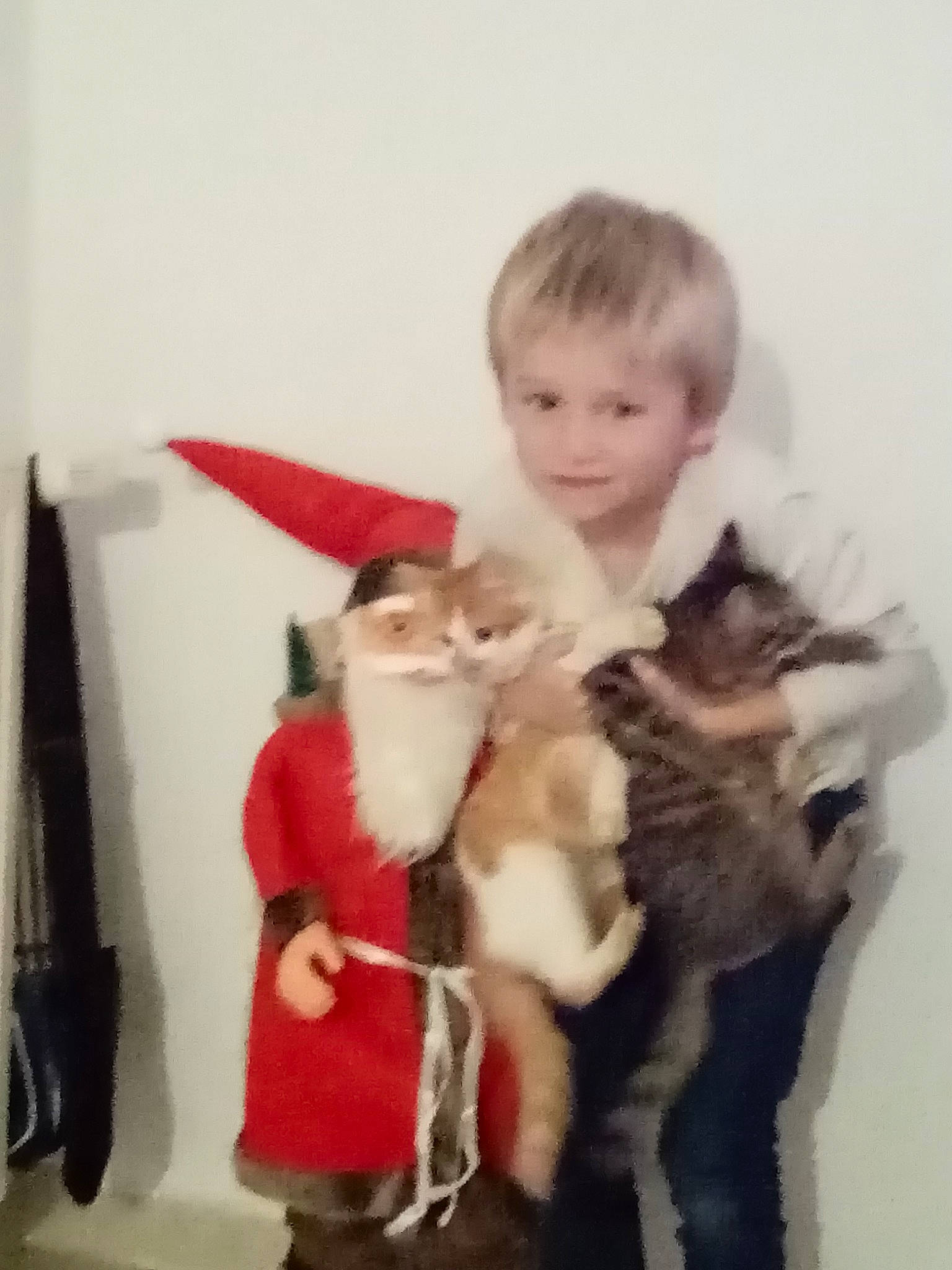 Bryan a rejoint le concours — aidez-le/la à gagner de superbes lots ! art, canidae, carnivore, cat, child, companion_dog, dog_breed, event, fawn, felidae, fur, fur_clothing, joy, lap, office_supplies, person, sitting, small_to_medium_sized_cats, smile, toddler