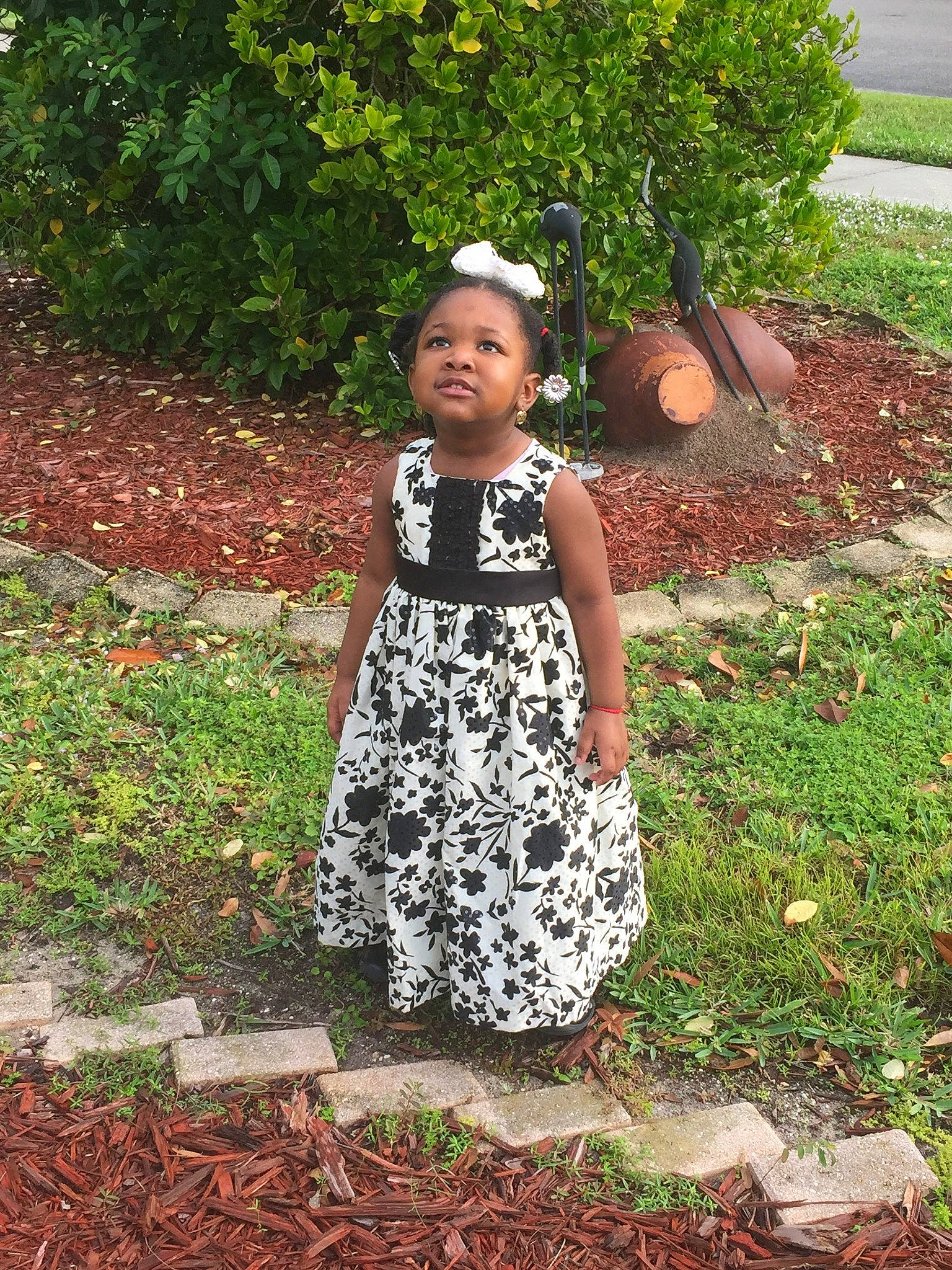 Celeste is registered to the contest to win money with this photo: adaptation, child, dress, garden, grass, leaf, pattern, person, plant, summer, toddler